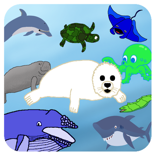 Sea Safari